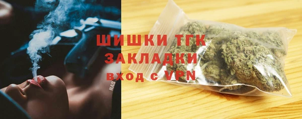 меф Снежинск