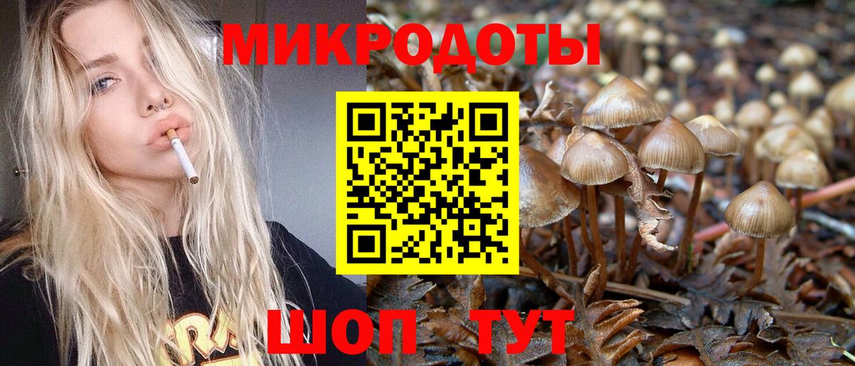 Псилоцибиновые грибы мухоморы Азов