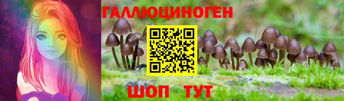 Псилоцибиновые грибы Cubensis  Вход с VPN  Азов 